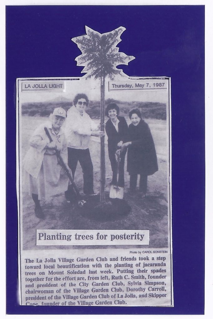 First article about the Village Garden Club of La Jolla's jacaranda project (from Dorothy Carroll's scrapbook)