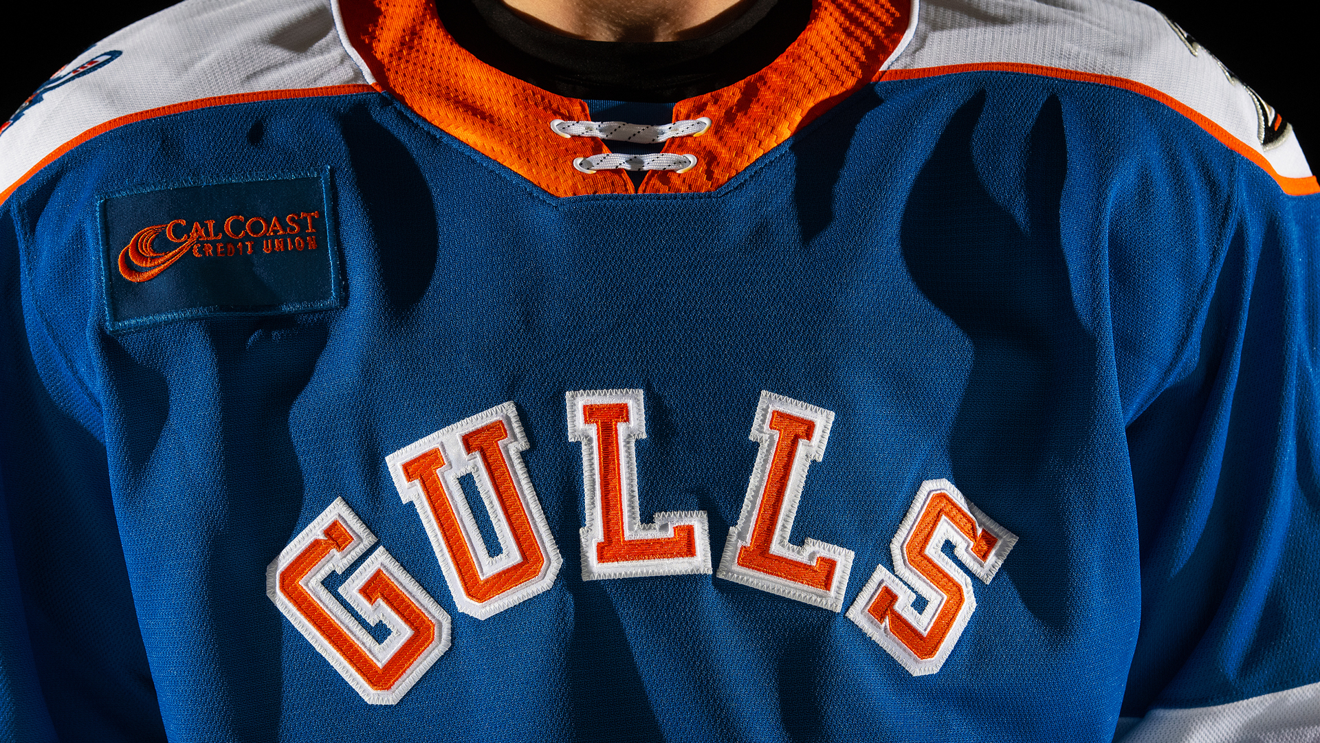 San Diego Gulls Unveil New Third Jersey The Clairemont Times